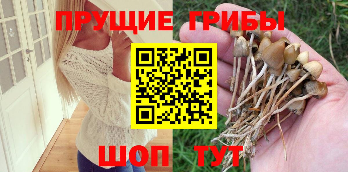 Ковров  Псилоцибиновые грибы мицелий  Галлюциногенные грибы Magic Shrooms  Вход с VPN 