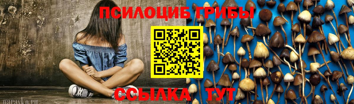 Псилоцибиновые грибы прущие грибы Ковров